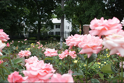 Photographers at Forsyth County Parks
